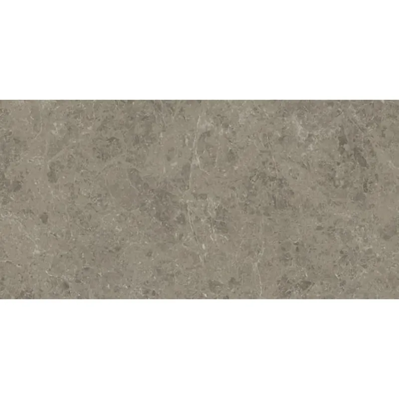 Atlas Concorde Marvel Meraviglia AJIU vloertegel 60x120cm 9mm mat ret.R10 grigio eleg. Speciale Aanbieding
