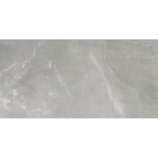 Florim Timeless 746377 Vloertegel 600X1200 Grey 9Mm Glans Ret. Favoriet