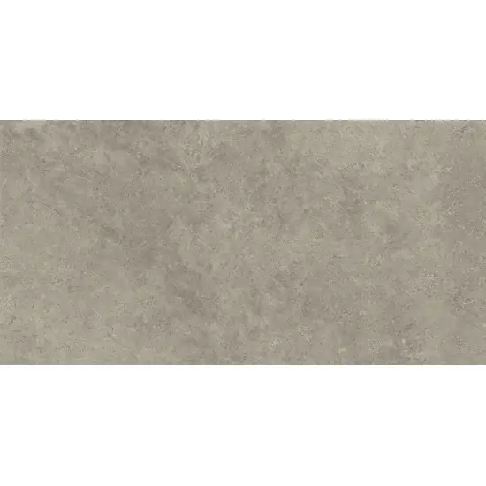 Superprijs Ragno Richmond RALU Vloertegel 600X1200 Musk 8,5mm Mat Ret.R10