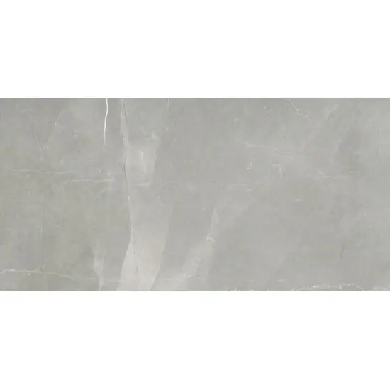 Alleen Vandaag Florim Timeless 744856 Vloertegel 300X600 Grey 9Mm Glans Ret.