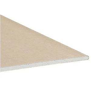 Laatste Versie Stucplaat gips 9,5mm 200x60cm RK