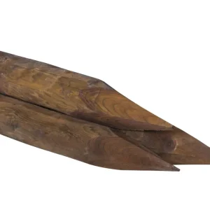 Favoriet Nobifix grenen dungepunt 8 cm 160 cm lang