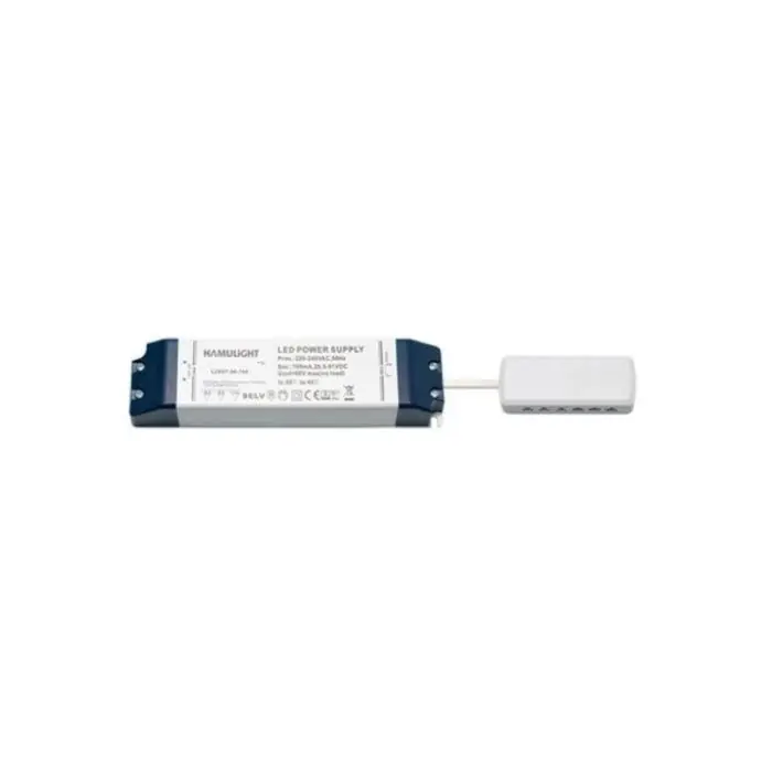 Must-Have LED transformator | connector 12-gats |serie | 36 watt | 700 mA