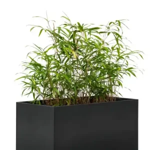 Lage Kosten Bloembak Mohawk, zwart gepoedercoat staal 60 x 120 x 60cm