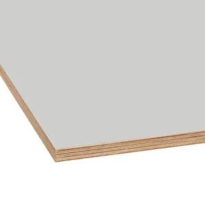OKOUME Multiplex D/D Exterieur Wit Gegrond FSC 2500x1220x18mm Favoriet