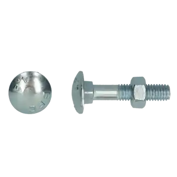 Houtbout 4.8 DIN 603/555 M10x220 Zn Gratis Retour