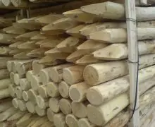 Robinia paal 10/12 180cm Gereduceerde Prijs