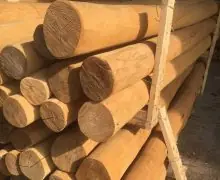 Robinia spintvrij geschuurd 10/12 500cm Dagaanbieding