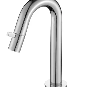 Premium Best-design chrome "viewer" toiletkraan