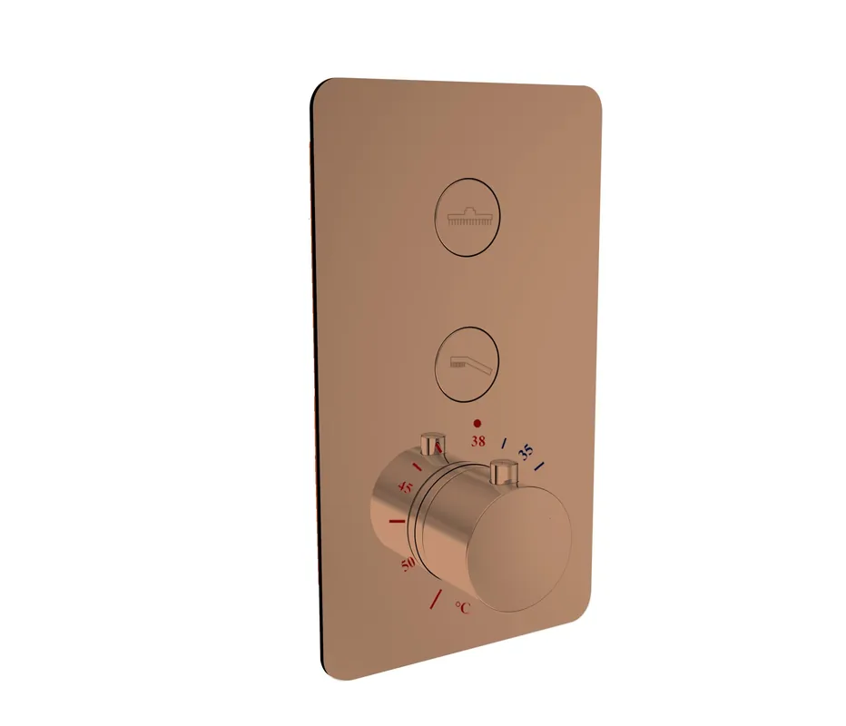Koopje Best-design frontplaat zonder temperatuurknop tbv. "clic-dijon"