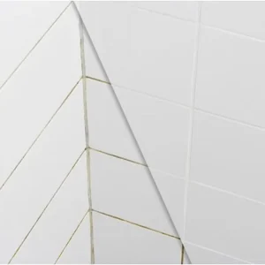 Brixor voegrenovatie premium b-01 white 1,3kg Op = Op