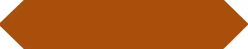 Tegels Arvon Russet 5x25cm Gecertificeerd
