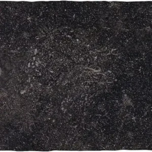 Tegels Belgium Stone Noir 30x50cm Beste Prijs