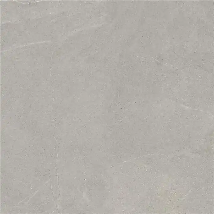 Finale Uitverkoop Tegels Dallstone Grey 60x60cm