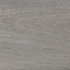 Alleen Vandaag Tegels houtlook artic wood argent 15x90 cm