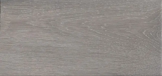Alleen Vandaag Tegels houtlook artic wood argent 15x90 cm