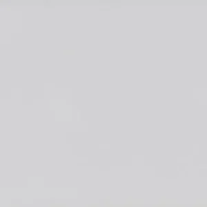 Hoge Kwaliteit Tegels Plain Glans Blanco 10x20cm