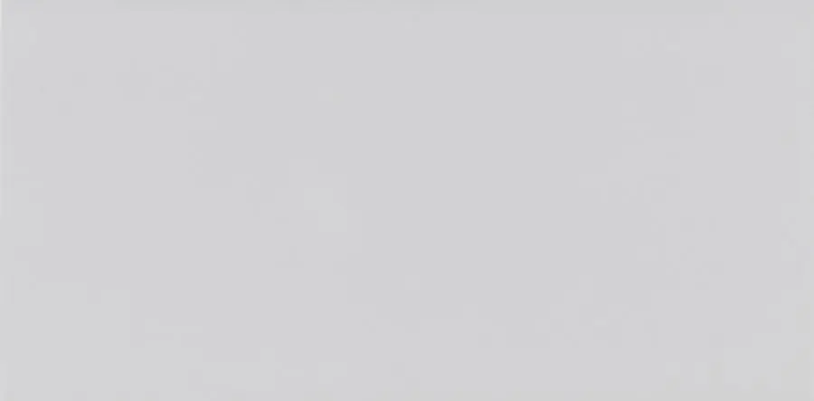 Hoge Kwaliteit Tegels Plain Glans Blanco 10x20cm
