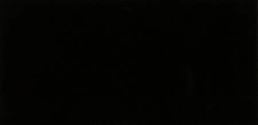 Tegels Plain Glans Negro 10x20cm Favoriet