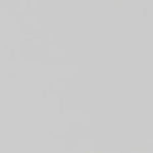 Koop Online Tegels Plain Mat Blanco 10x20cm
