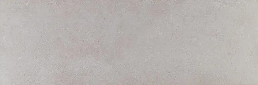 Beperkte Voorraad Tegels Puncia Silver 40x120cm