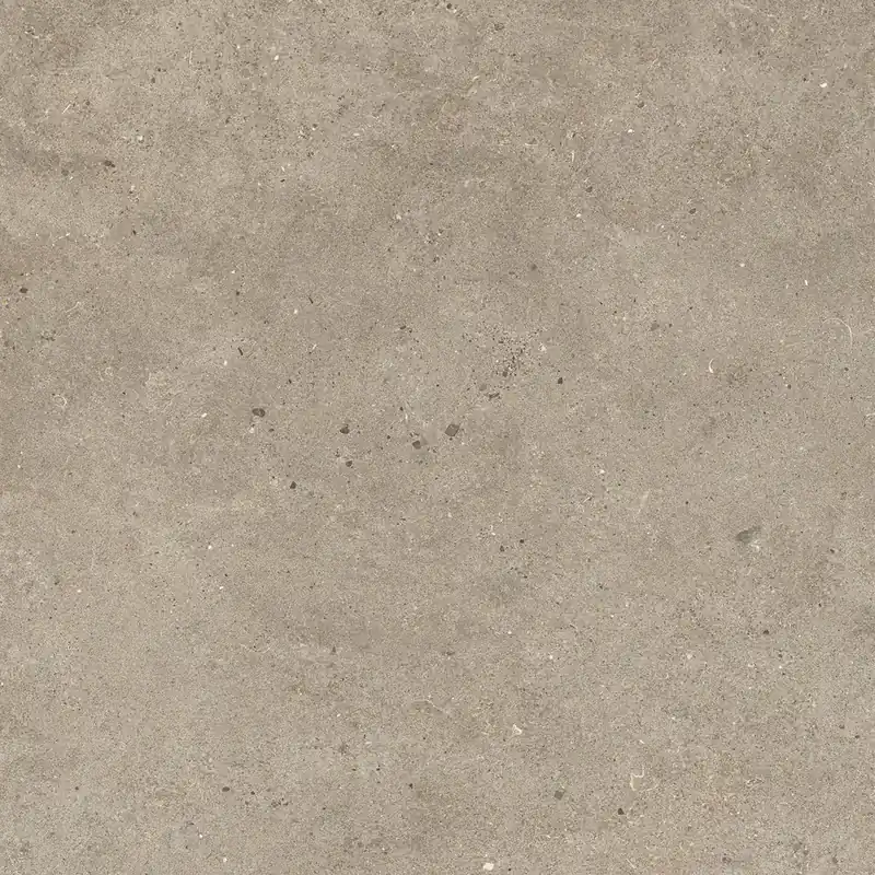 Fossil Taupe Hoge Kwaliteit