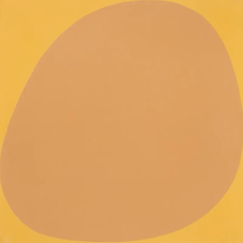 Favoriet SAM Stones Orange Orange