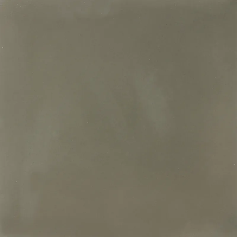 Hoge Kwaliteit SAM Egal Taupe S7039