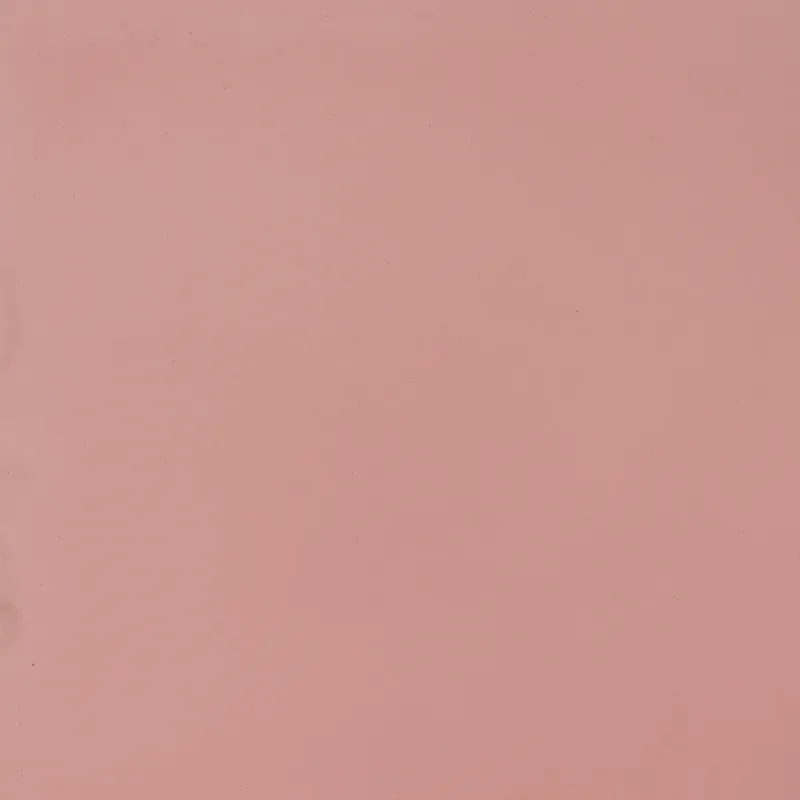 Must-Have SAM Egal Pink S855