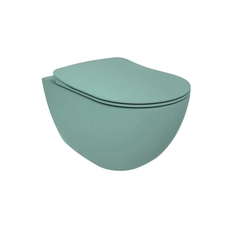 Creavit Terra Bedieningspaneel – Nijlgroen – Dual Flush Bedieningsplaat voor Creavit Inbouwreservoir Nieuw