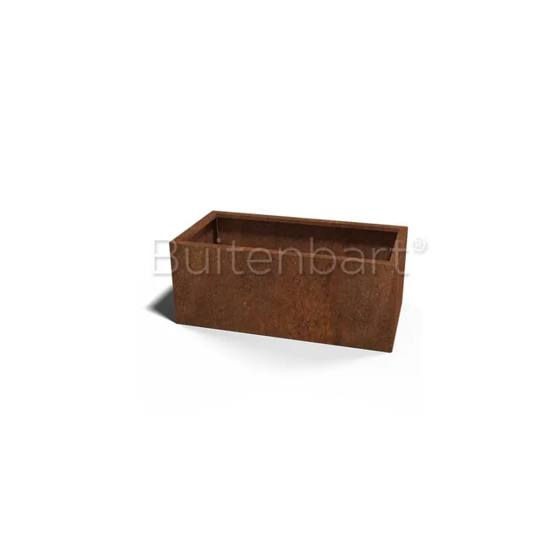 Laatste Kans Cortenstaal Plantenbak Rechthoek 50x100cm, hoogte 40cm