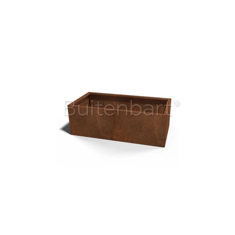 Betrouwbaar Cortenstaal Plantenbak Rechthoek 60x120cm, hoogte 40cm