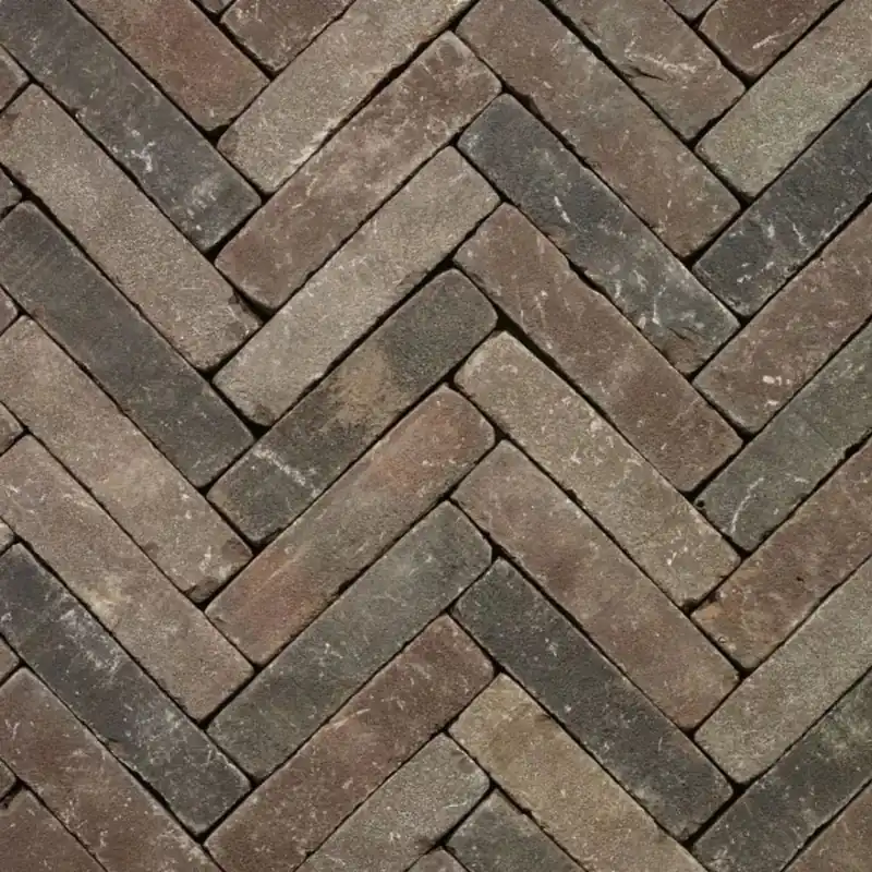 Beperkt Aanbod Gebakken Waalformaat Hoogehuys 20x5x6cm