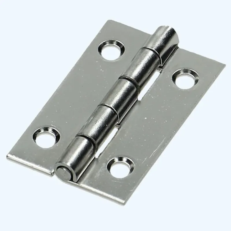 Bestel Nu Smalscharnier RVS 22x35 mm bestellen