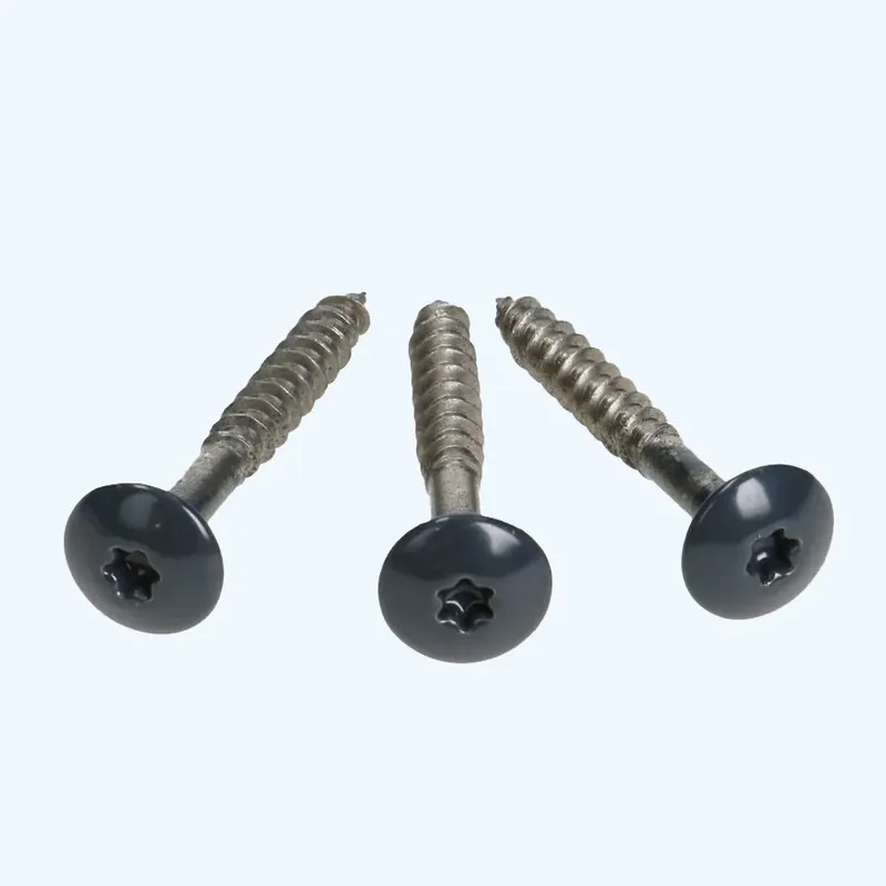 Veilige Betaling Kleurkopschroef 4,8x38mm RAL7016 (Antraciet)