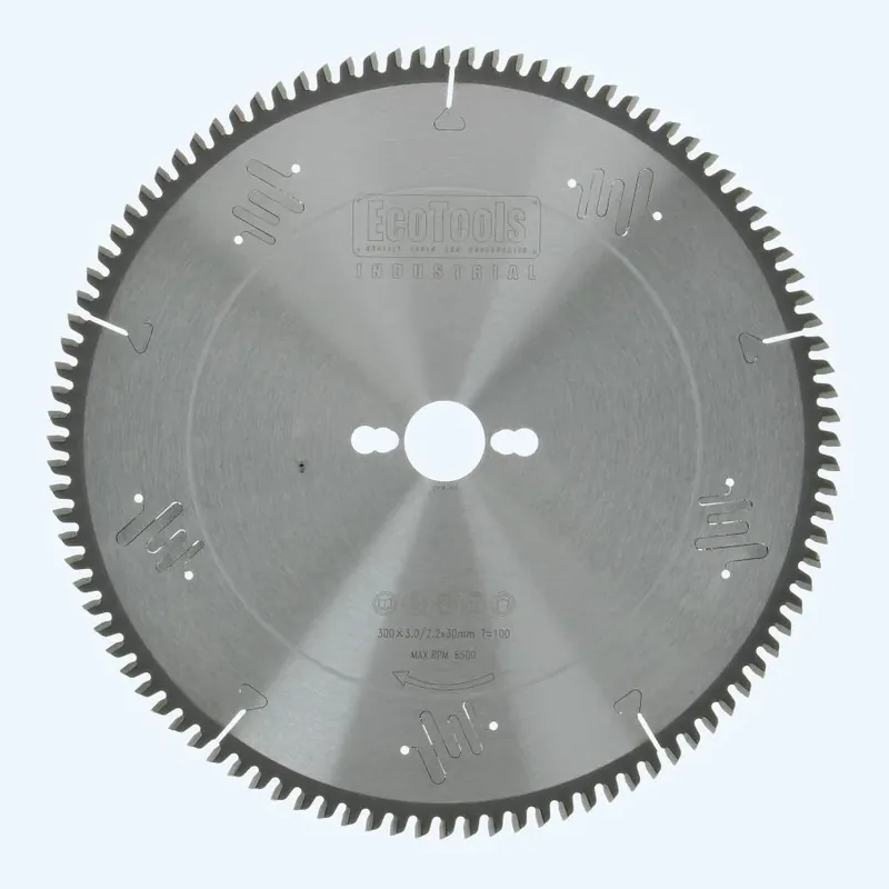 Koop Online HM-zaagblad 300 x 30 mm T=100 (vlak-dak) Indu