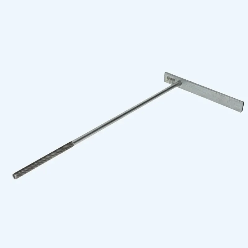 Veilige Betaling Muurplaatanker M12 x 500 met plaat 230 mm