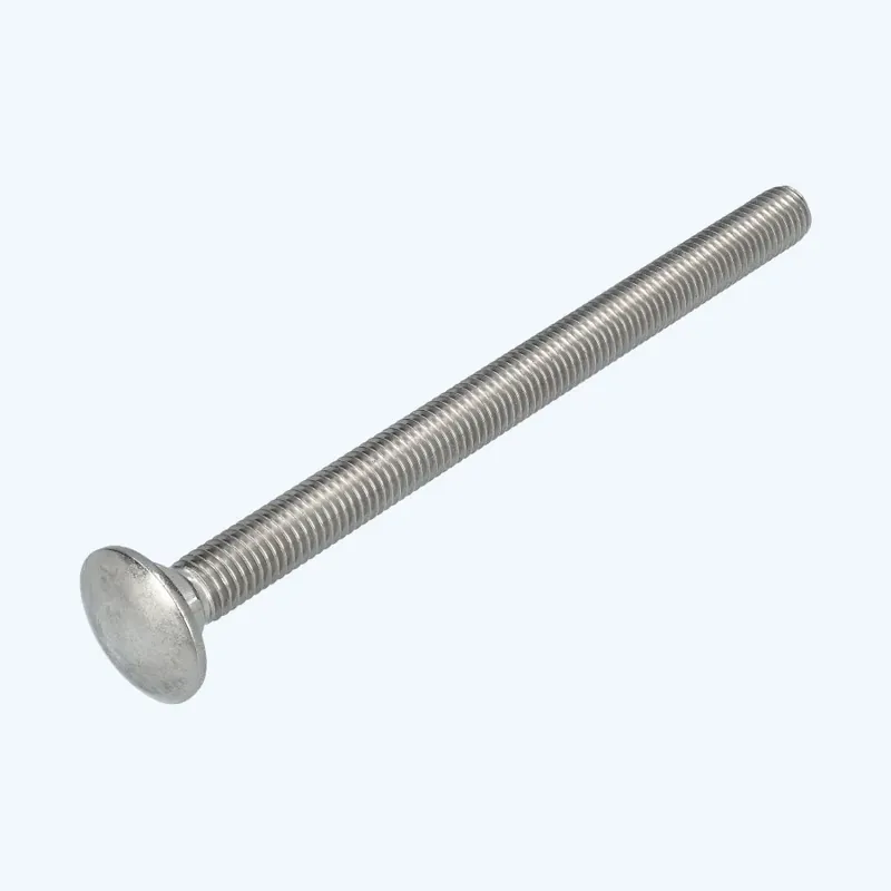Rechtstreeks Van De Fabrikant 25 stuks slotbout M10 x 150 mm RVS A2