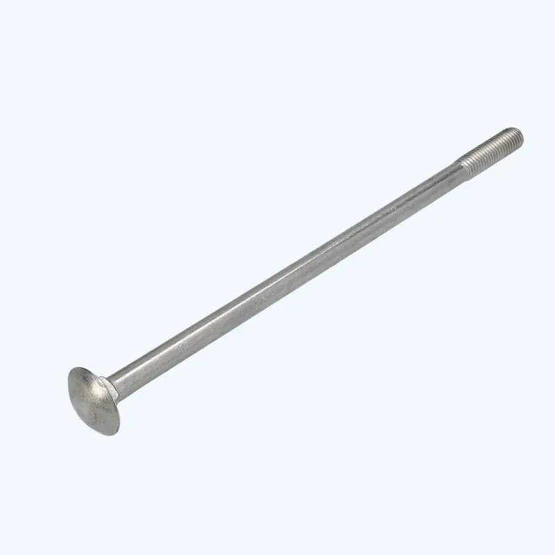 20 stuks slotbout M10 x 200 mm RVS A2 Alleen Vandaag