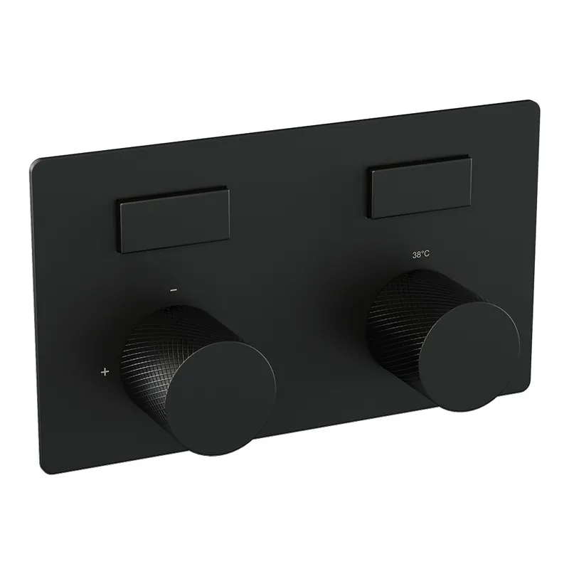 Gecertificeerd Brauer Black Carving Thermostatisch Inbouwkraan met 2-Weg Omstel - 2 Drukknoppen & 2 Draaiknoppen - Mat Zwart