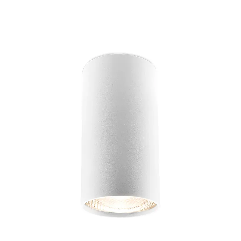 Braytron Gama 8011 LED Lamp Opbouw - IP20 - 1xGU10 - Rond Ø55mm - Wit Finale Uitverkoop
