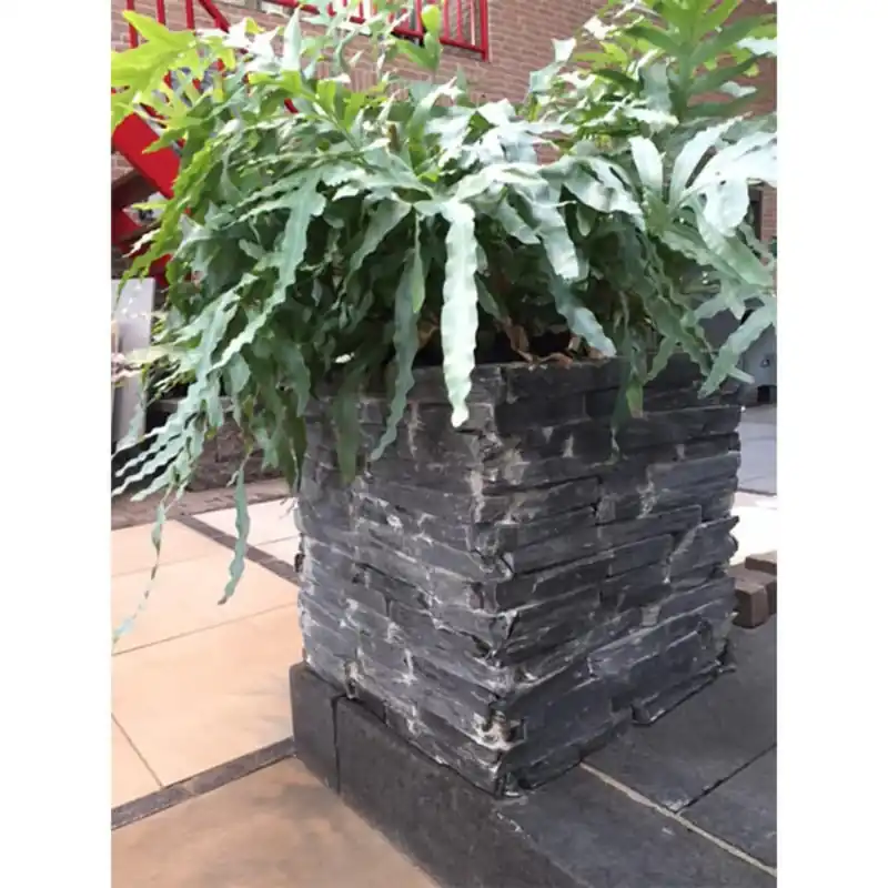 Supreme Slate Bloembak Recht 50x50x50 Bestel Nu