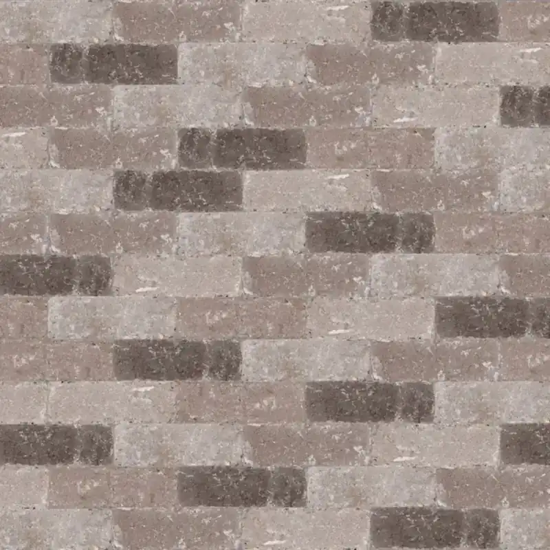 Beperkte Voorraad Abbeystones Getrommeld Certosa 21x7x8 dikformaat