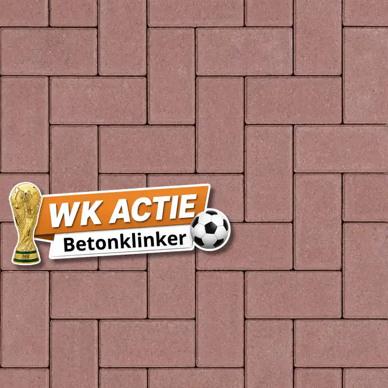 Betonklinkers 8 cm Heide Veilige Betaling