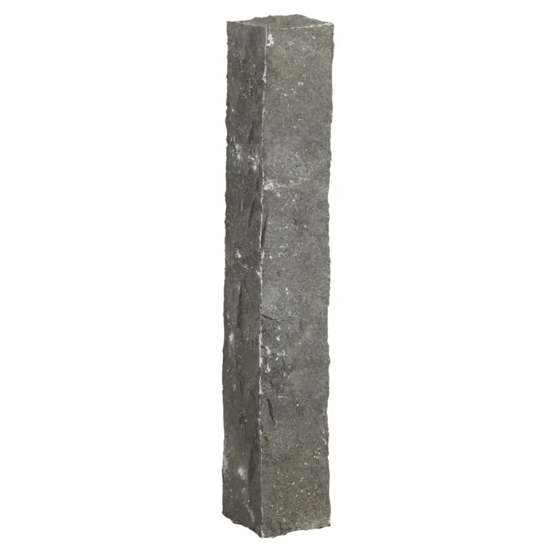 Koop Vandaag Natuursteen Palissade Black Pearl Basic 12x12x75 cm