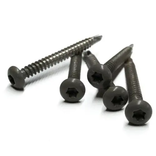 RVS schroef met gekleurde top voor NTW Castellation PRO set a 50 stuks met bit Silver gray Lage Prijs