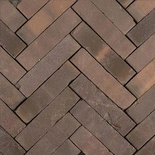 Nieuw Gebakken waalformaat Hollandse streken 5x20x6 cm Peel