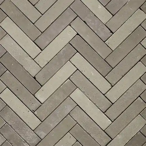 Aanbieding Gebakken waalformaat Hollandse streken 5x20x6 cm Twents