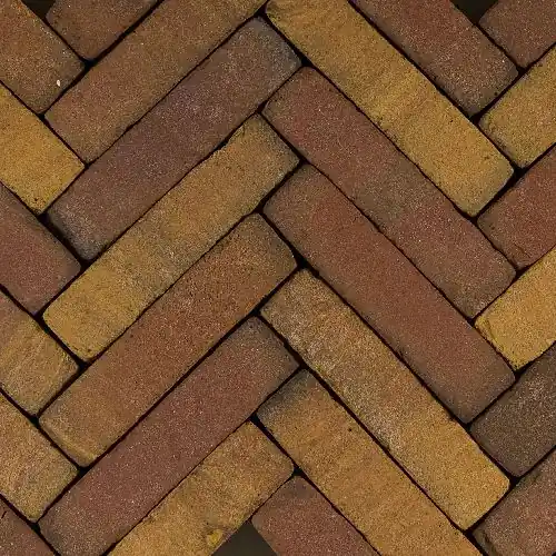 Gereduceerde Prijs Gebakken waalformaat Art bricks 5x20x6,5 cm Ruijsdael