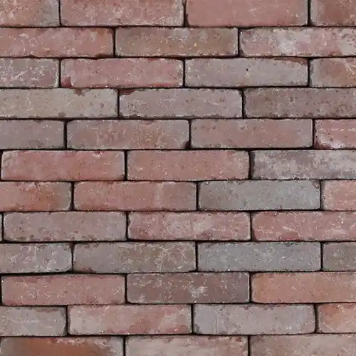 Nieuw Gebakken waalformaat Rossum 20x5x8 cm Weston getrommeld